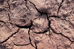 2020-04-11_nature-morte-3