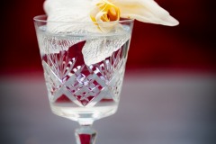 Alain-C-Home-water-05