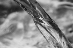 IMG_9467-4