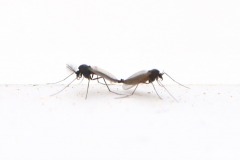 IMG_8714
