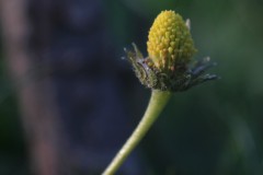 IMG_9582-2