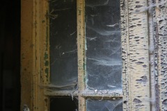 PQ1B4795