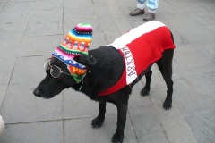 03_pérou_202_Lima_01
