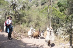 08_pérou_2007_Trek_02