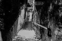 Claude-G-escalier6-Gif