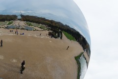 DSC5481