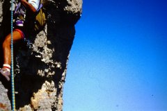 05_La_Pelle_1986