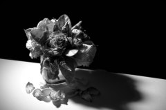 20120601_0001