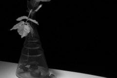 20120603_0005