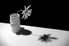 20120607_0006