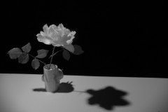 20120607_0021