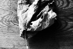20140723_P7209579