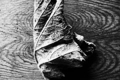 20140723_P7209592