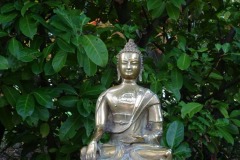 04_Immobilite_Bouddha