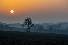 JAM_0447-8