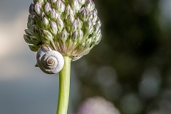 JAM_2302-9
