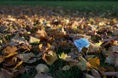 4-IMG_1109