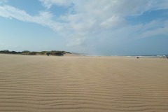 20190419_153931