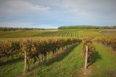 IMG_1196-3