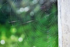 IMG_1328-5