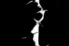 20130506_P5063339