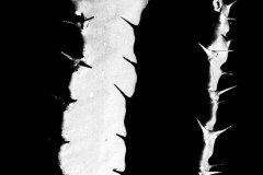 20130506_P5063342