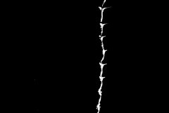 20140421_P4178489