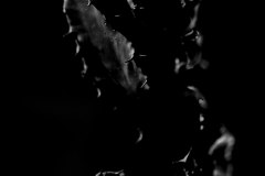 20140421_P4178524