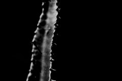 20140421_P4178533