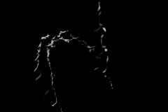 20140421_P4178564