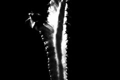 20140723_P7179493