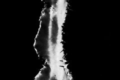 20140723_P7179496