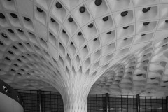 Lignes courbes