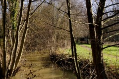 2020_11_16-Picod_6