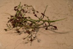 20201114_0032