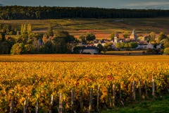 En passant par la Bourgogne