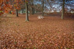 Couverture automnale