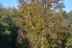 Couleur-automne-®2020-GPC-7