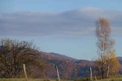 P1010836