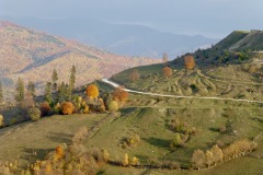 P1010856