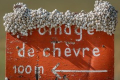 Zut, il faut faire la queue