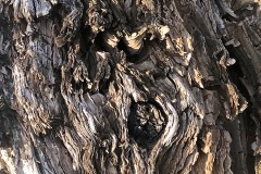 IMG_2789-Version-2