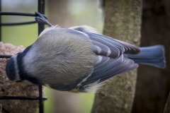 DSCF6902