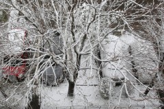 Parking-couvert-de-neige