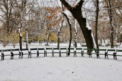 Parc-Cismigu-Bucarest-1223