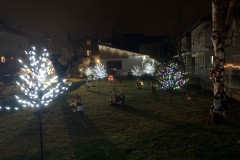 photo_2