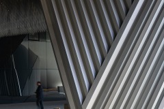V Philharmonique