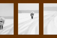 Sous la neige