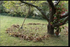 Feuilles-mortes_triptyque