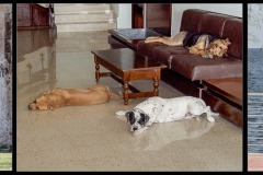 Sieste_triptyque
